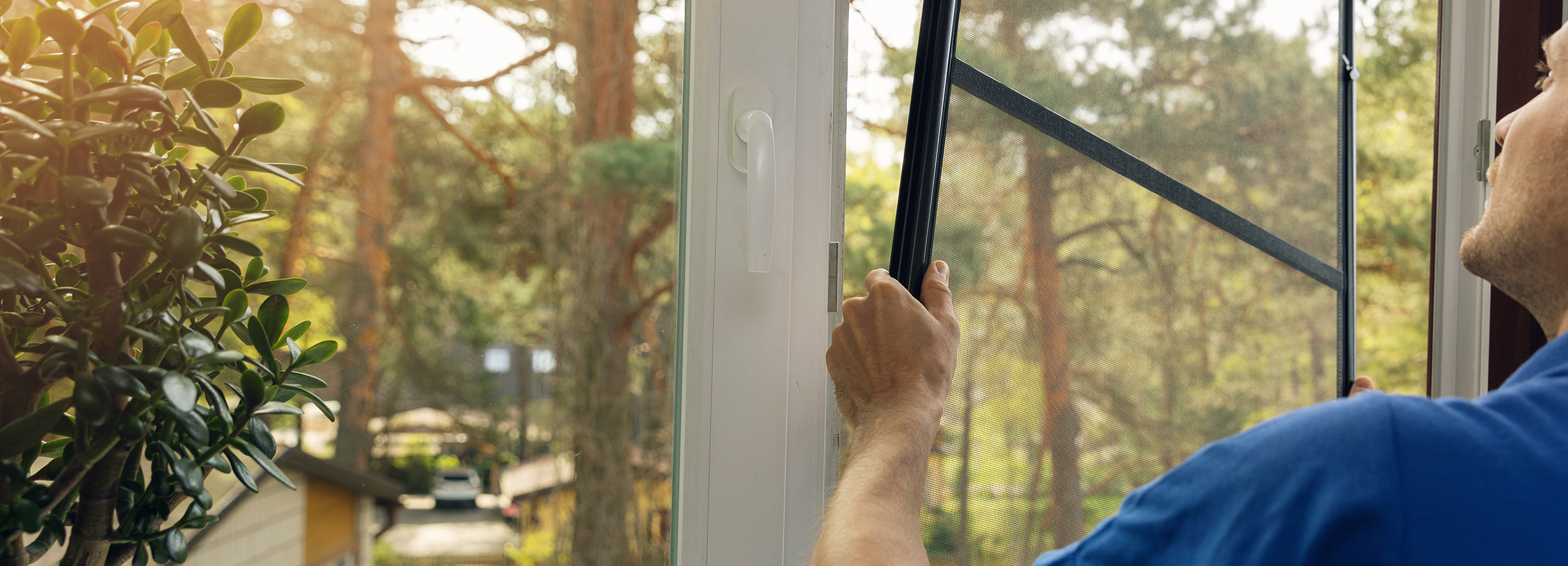 Mosquito net being installed on home window