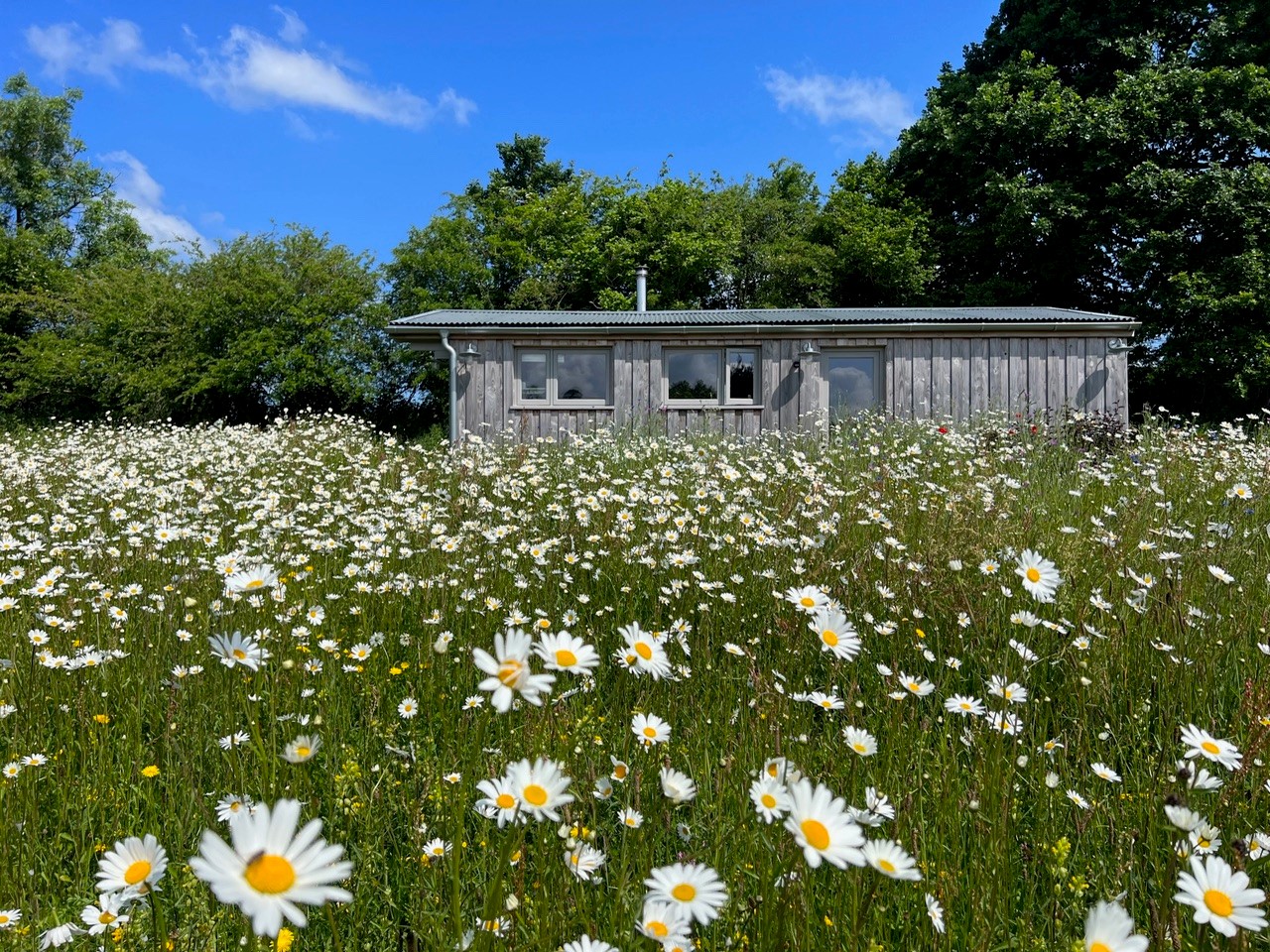 Transforming a Quaint Cabin: How Bereco Flush Casements and French Doors Elevated a Home Office Renovation